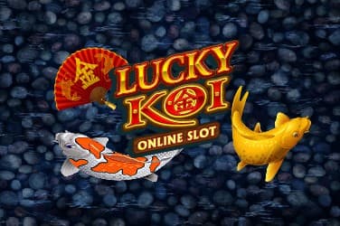 Lucky koi fish