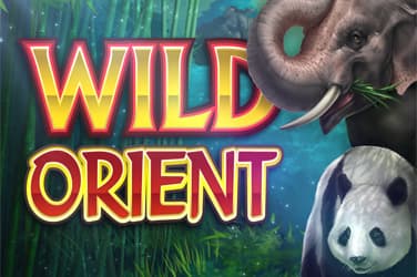 Wild orient online slots